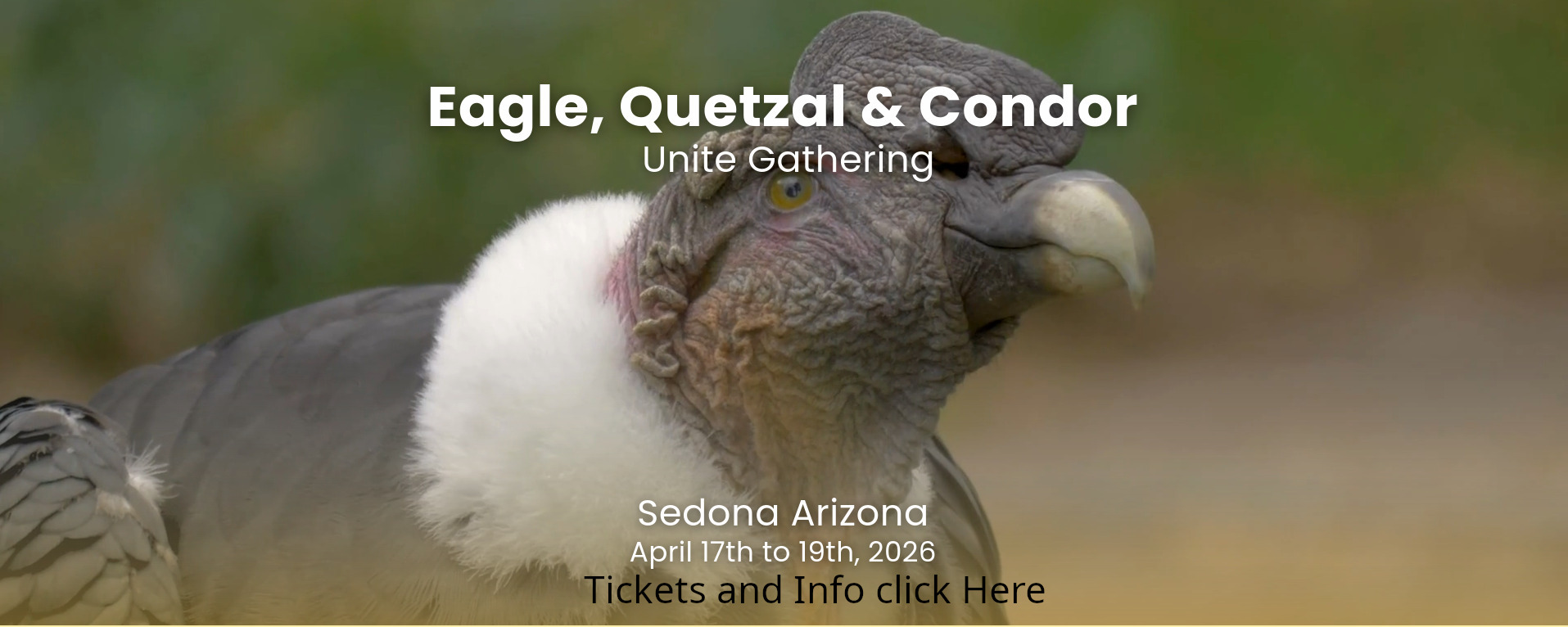 sedona gathering 2026